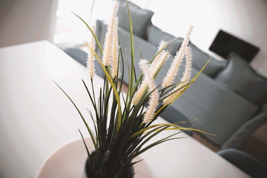 Beautiful Stylish 2Br Apartment In Kirchberg Luxembourg Luaran gambar